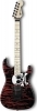 Charvel Warren DeMartini Signature San Dimas Skulls Charvel Warren DeMartini Signature San Dimas Skulls